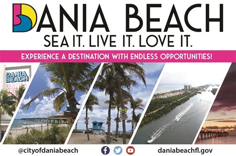 seo dania beach|SEO Dania Beach .